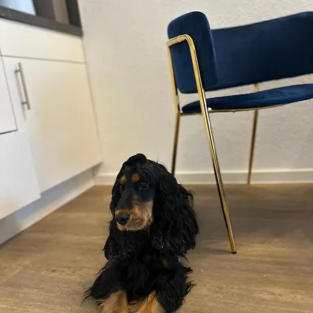 Ferienstube Apartment